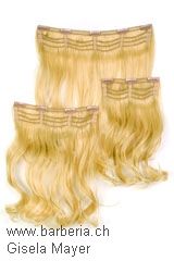 Trama-Postizo, Marca: Gisela Mayer, Línea : hair to go, Postizos-Modelo: New Put In Curly