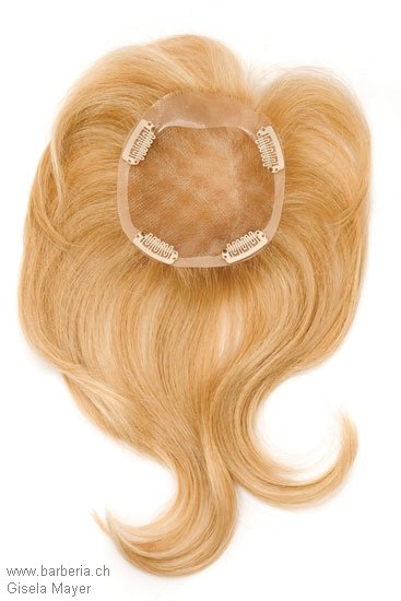 Relleno de pelo, Marca: Gisela Mayer, Modelo: Volume II